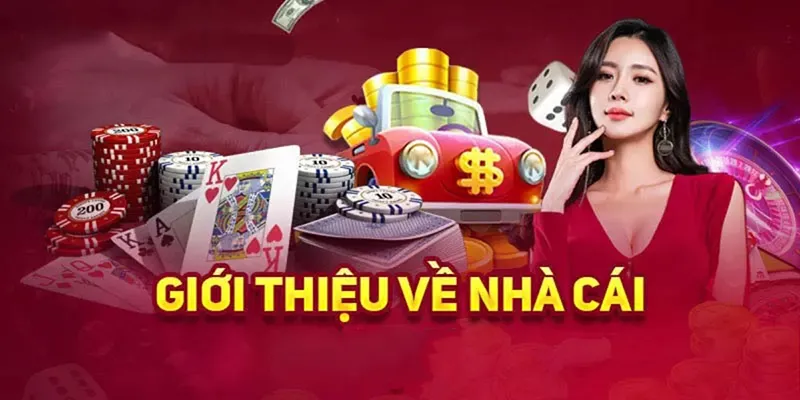 Giới thiệu Vipwin và tổng quan nhà cái 